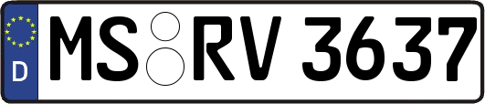 MS-RV3637