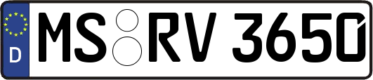 MS-RV3650