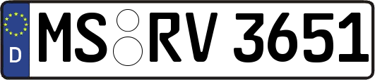 MS-RV3651