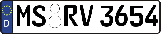 MS-RV3654