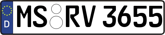 MS-RV3655