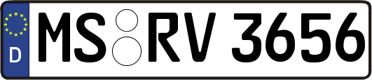 MS-RV3656