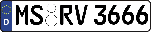 MS-RV3666