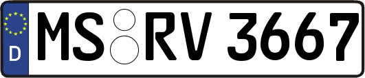 MS-RV3667
