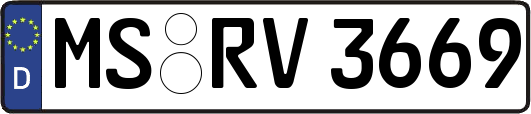 MS-RV3669