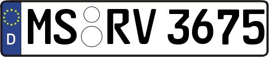 MS-RV3675