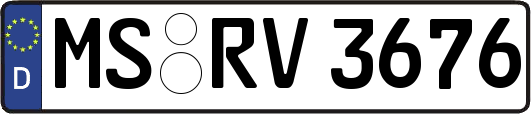 MS-RV3676