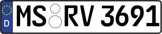 MS-RV3691
