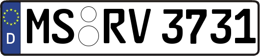 MS-RV3731