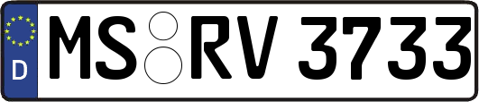 MS-RV3733