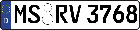 MS-RV3768