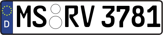 MS-RV3781
