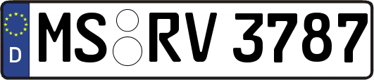 MS-RV3787