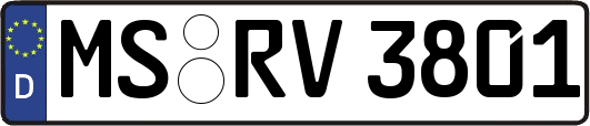 MS-RV3801