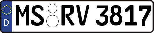 MS-RV3817