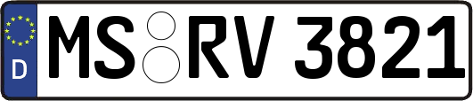 MS-RV3821