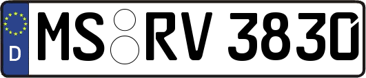 MS-RV3830
