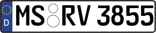 MS-RV3855