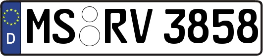 MS-RV3858