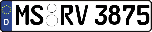 MS-RV3875