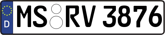 MS-RV3876