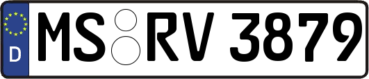 MS-RV3879