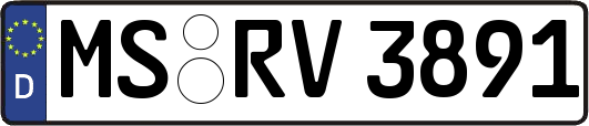 MS-RV3891