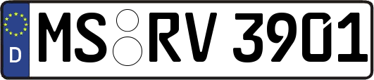 MS-RV3901