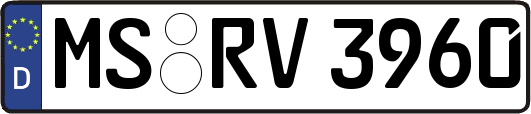 MS-RV3960