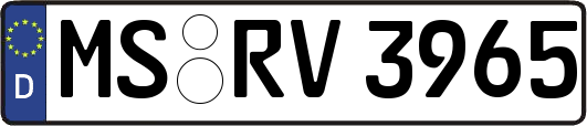 MS-RV3965