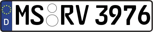 MS-RV3976