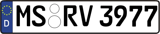 MS-RV3977