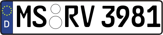 MS-RV3981