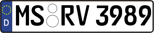 MS-RV3989