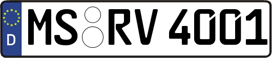 MS-RV4001