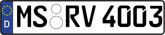 MS-RV4003