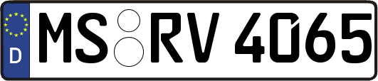 MS-RV4065