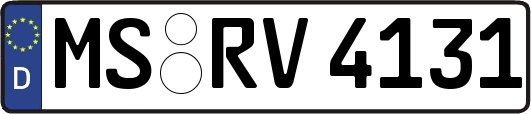 MS-RV4131