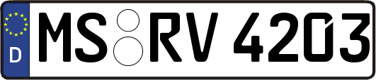 MS-RV4203