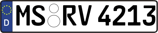 MS-RV4213