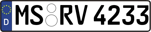 MS-RV4233