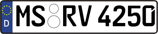 MS-RV4250