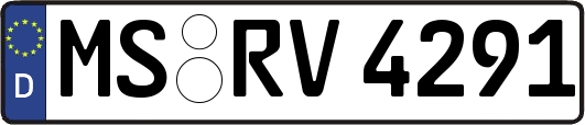 MS-RV4291