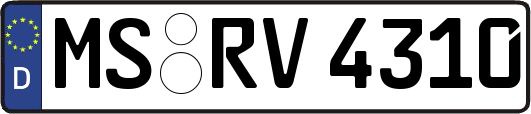 MS-RV4310