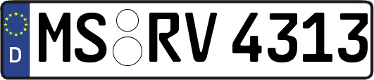 MS-RV4313