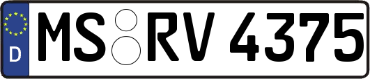 MS-RV4375