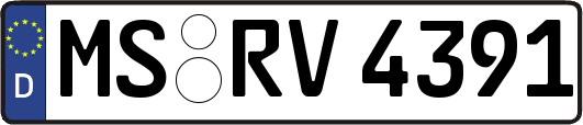 MS-RV4391