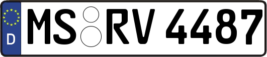 MS-RV4487