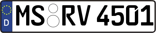MS-RV4501