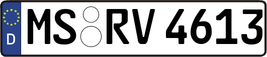 MS-RV4613